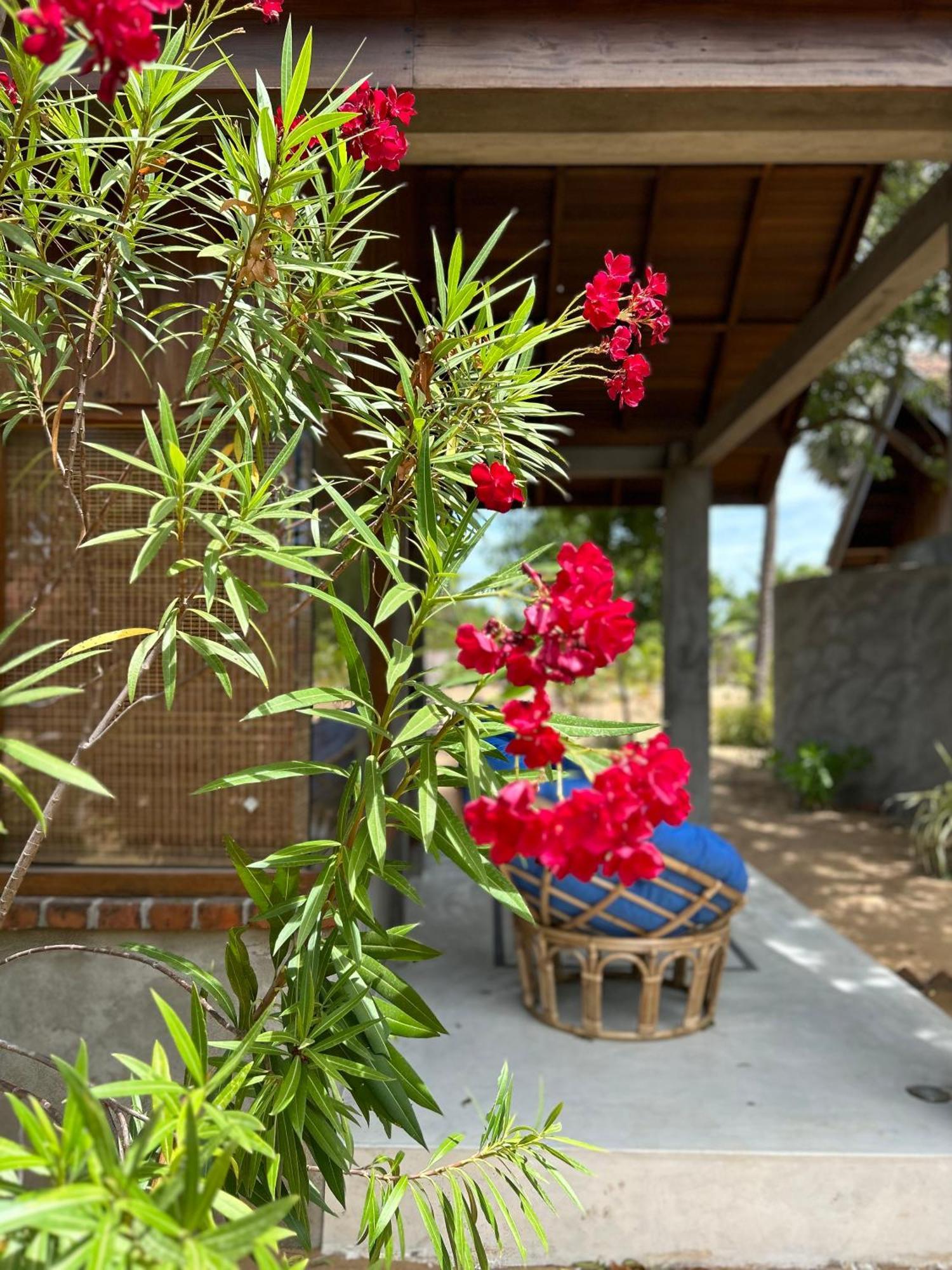 Arasi Resort Калпития Экстерьер фото